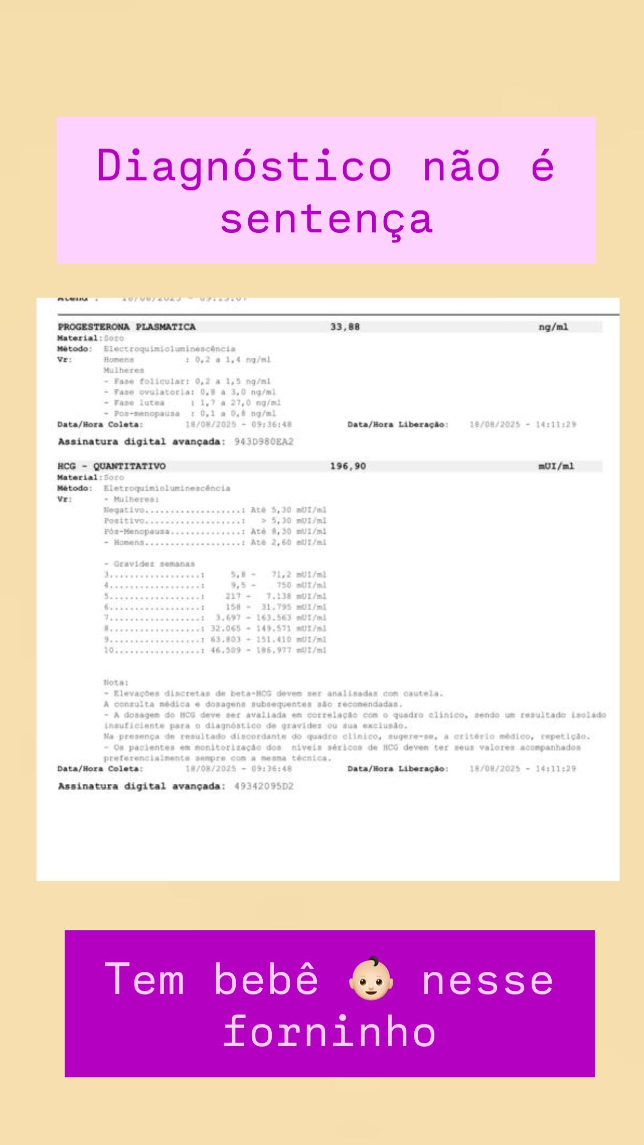 resultado 3 de 3