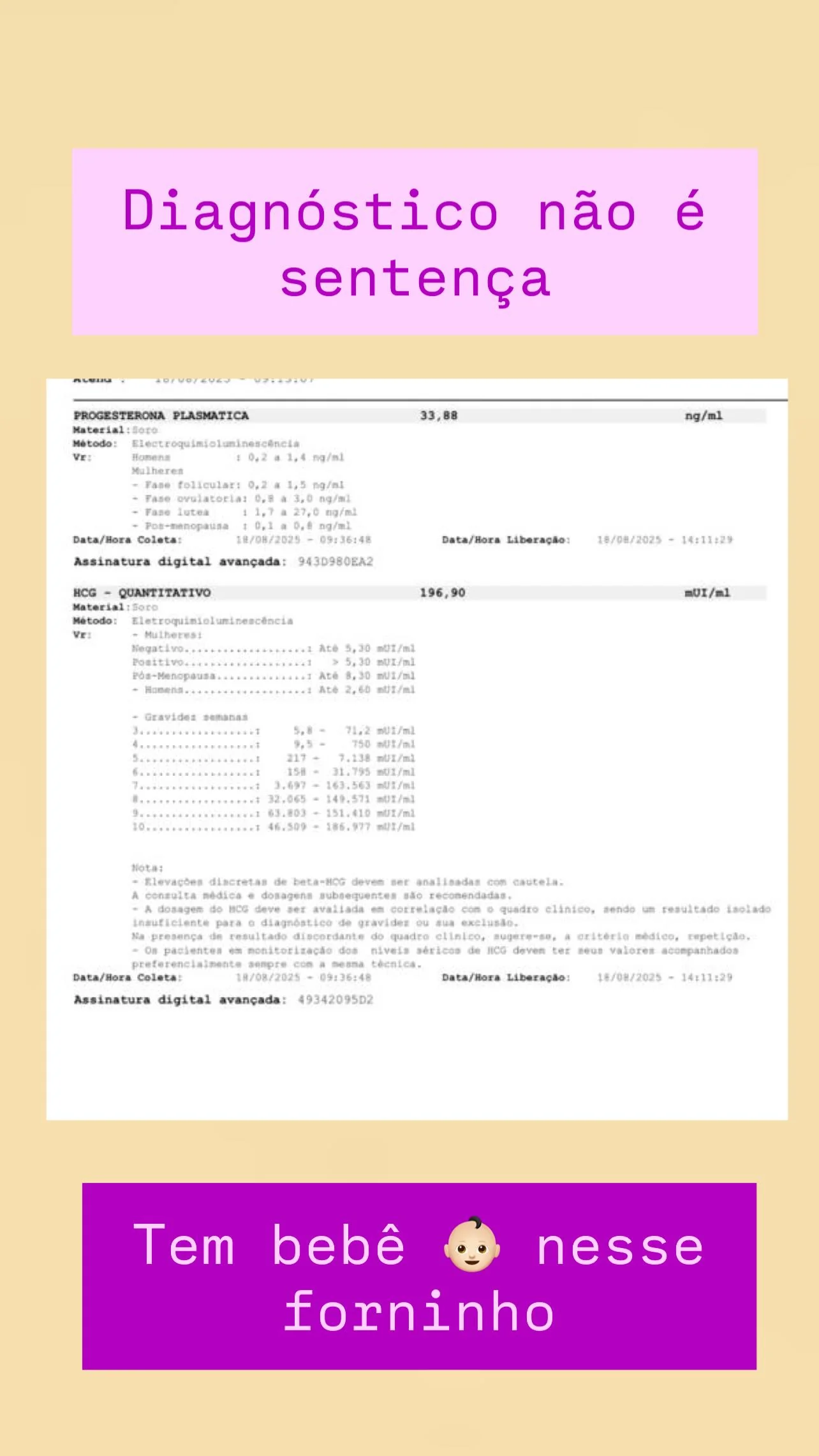 resultado 3 de 3
